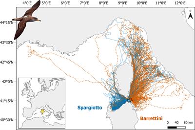 Assessing Important Conservation Areas for Colonial Species From Individual Tracking Data: An Evaluation of the Effects of Colony Structure and Temporal Heterogeneity in Movement Patterns